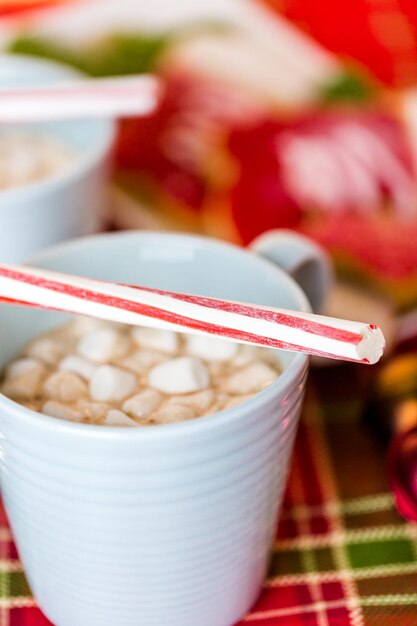 Heiße Schokolade garniert mit kleinen weißen Marshmallows und Pfefferminzrührer.