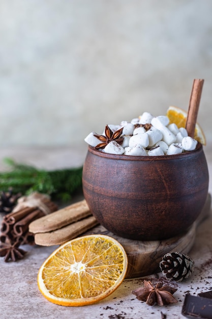 Heiße Schokolade oder Kakao mit Marshmallows und Spione Das Konzept der Herbst- oder Winterzeit