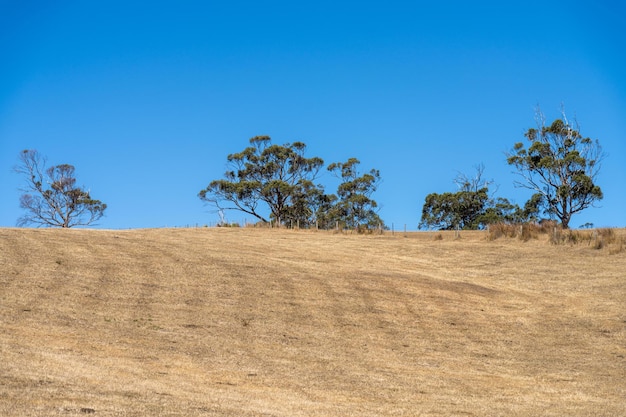 heiße trockene Landwirtschaftslandschaft in Australien Dürre auf einer Farm mit nacktem Boden