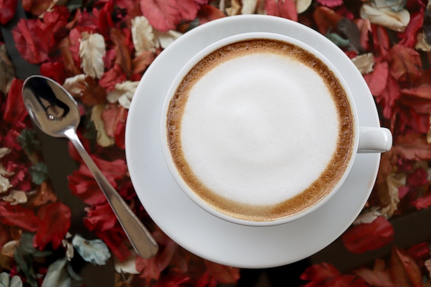 Heißer frischer Kaffee Latte mit Milchschaum, auf trockener Blume des Glastisches herein unten.