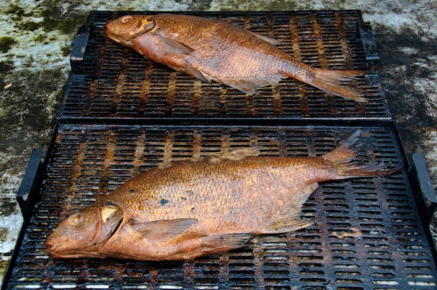 Heissgeräucherte Brasse Abramis Brama kühlt auf dem Grill ab