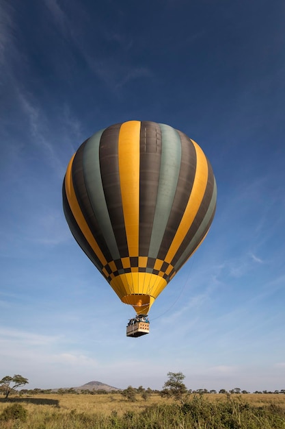 Foto heißluftballon fliegt über das feld