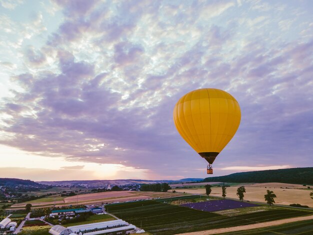 Heißluftballon mit Korb über Lavendelfeld