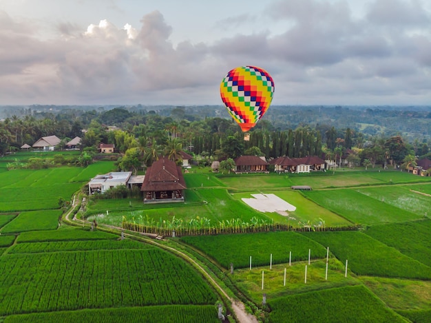 Heißluftballon über dem grünen Reisfeld Komposition aus Natur und blauem Himmel Reisekonzept