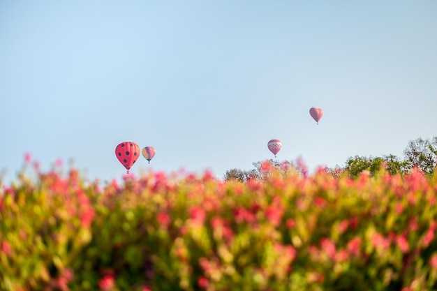 Heißluftballons fliegen auf Blumengarten