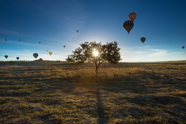 Heißluftballons fliegen über spektakuläres Kappadokien