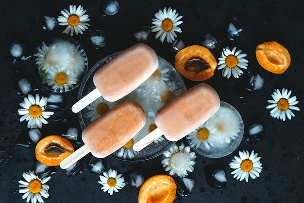 Helado casero en barra de albaricoques y yogur