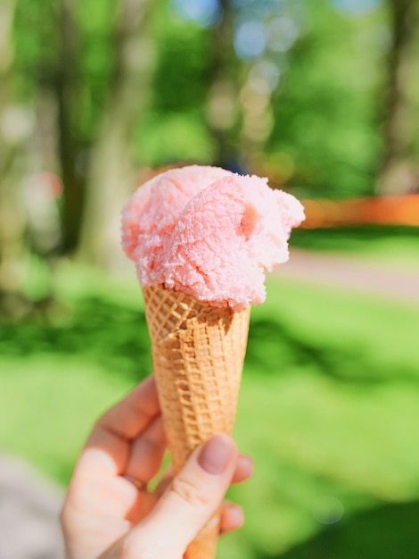 Helado de naranja sobre fondo de paisaje de flores de primavera o verano Concepto de estilo de vida de viaje de comida