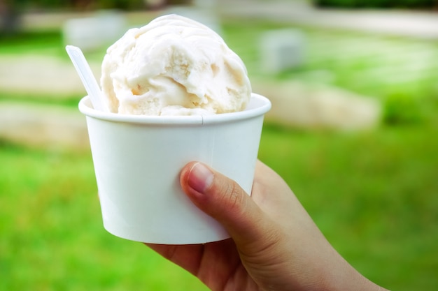 Foto helado. vainilla y helado de leche en la mano