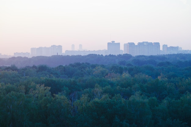 Hellblauer früher Sonnenaufgang über städtischen Häusern und Park