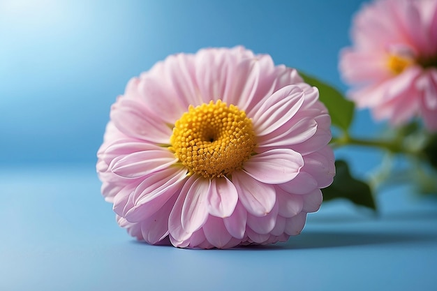 hellblauer Hintergrund mit schönen Blumen