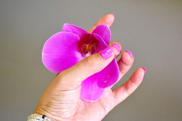 Helle Blume in einer weiblichen Hand. Konzept für einen Nagelstudio.