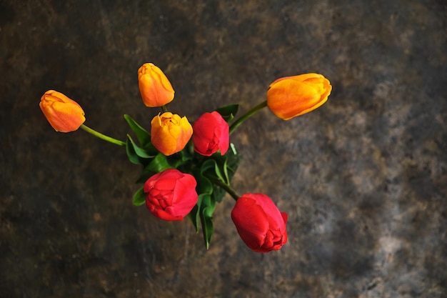 Helle Blumen auf dunklem Hintergrund, Tulpenansicht von oben.