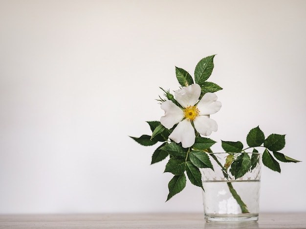 Helle Blumen und ein Platz für die Inschrift.