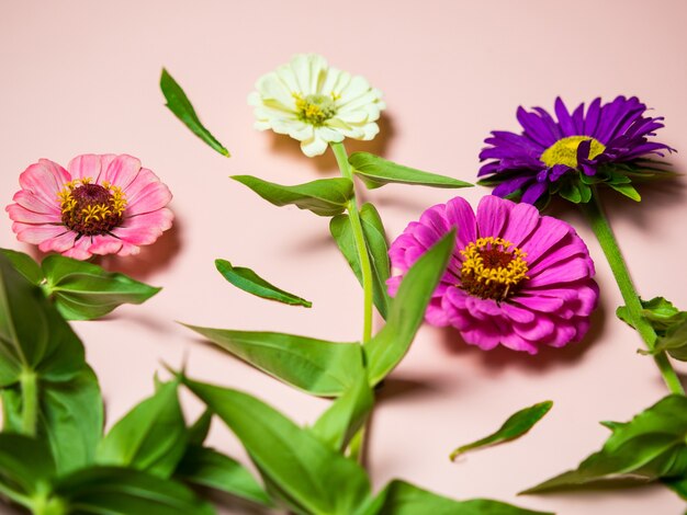 Helle bunte Blumen auf einem rosa Hintergrundkopierraum, für eine Postkarte und einen Feiertag