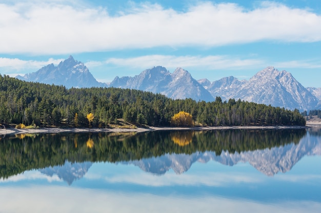 Helle Farben der Herbstsaison im Grand Teton National Park, Wyoming, USA