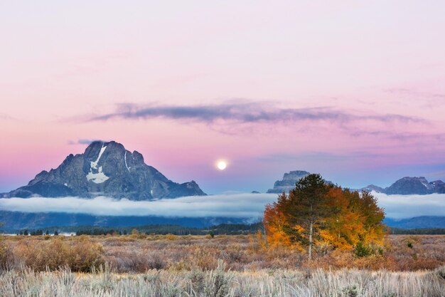 Helle Farben der Herbstsaison im Grand Teton National Park, Wyoming, USA