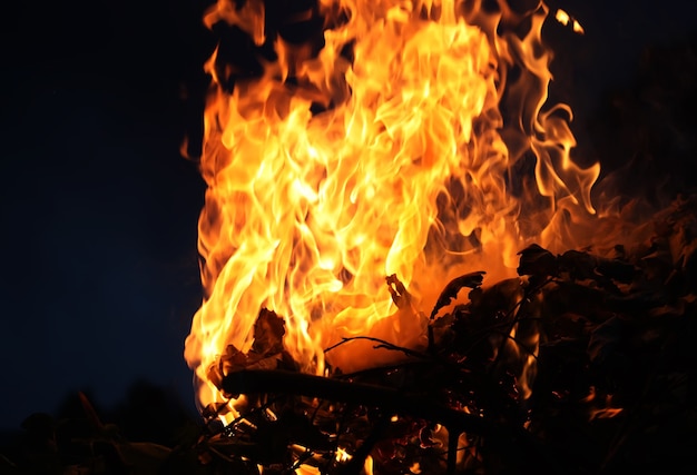 Helle Flamme eines brennenden Feuers über dem Kohlenbecken im Freien