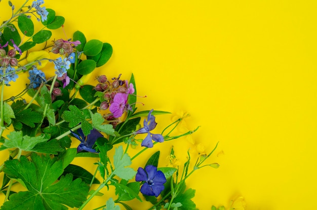 Helle Frühlings- und Sommerblumen auf gelbem Hintergrund. Studiofoto.