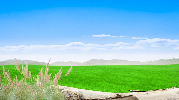 helle grüne Wiese im Freien oder in den Bergen natürliche Landschaft mit grünen Grasfeldern und blauem Himmel mit Wolken mit gekrümmten Horizontlinien 3D-Rendering