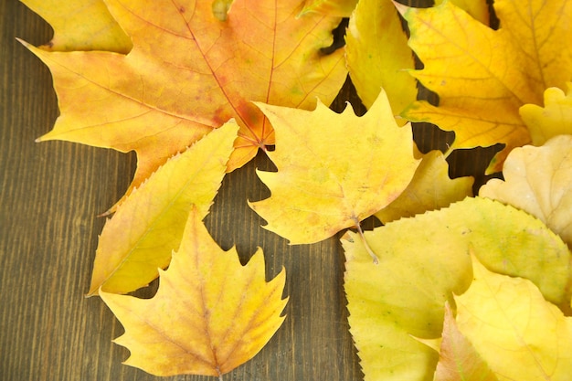 Helle Herbstblätter auf Holztisch