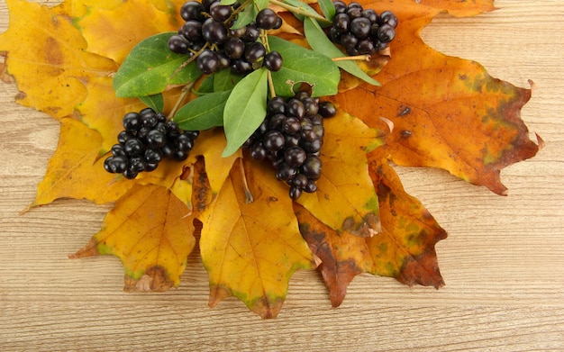 Helle Herbstblätter und wilde Beeren auf Holzhintergrund