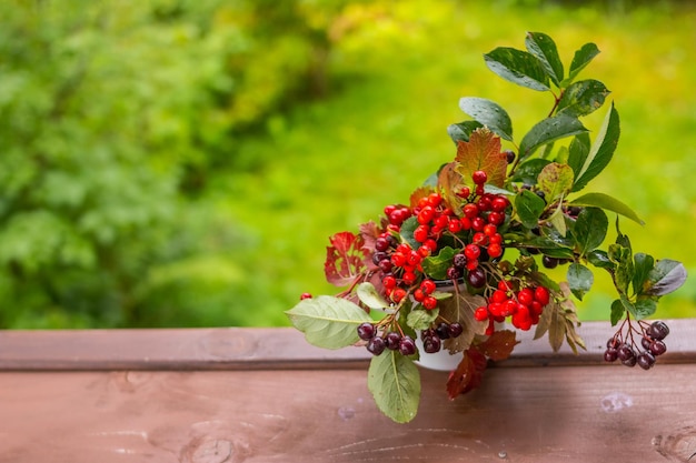 Helle Komposition aus roten Beeren-Ebereschenkegeln und Eicheln auf rustikalem Holztisch auf grünem Naturrücken