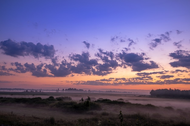 Helle Morgendämmerung auf einer nebligen Wiese. Helle Sommerlandschaft.