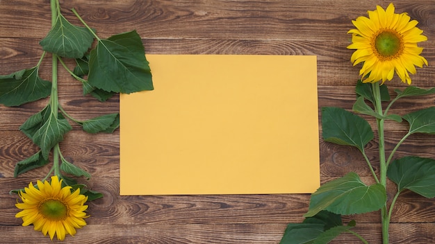 Helle Sonnenblumen auf einem alten hölzernen Hintergrund liegen in Knospen in verschiedene Richtungen, ein gelbes Blatt zum Einfügen von Text