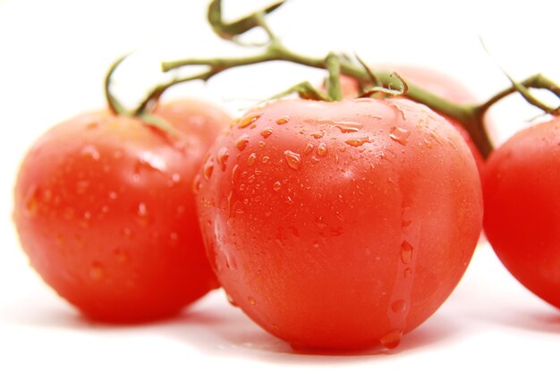 Helle Tomate