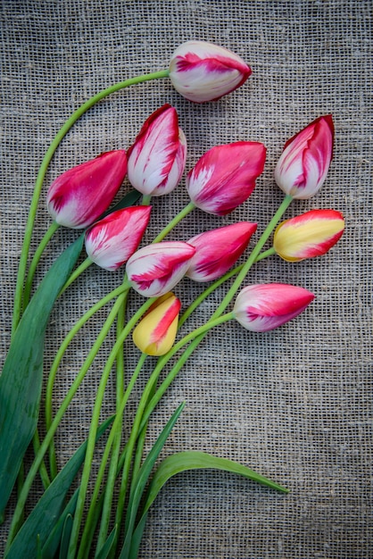 Foto helle tulpen auf leinenstoff