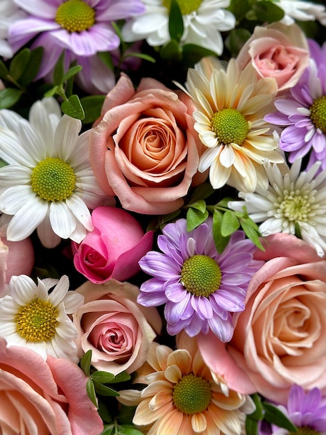 Helle und schöne mehrfarbige Rosen und Chrysanthemen aus nächster Nähe, Foto am Telefon