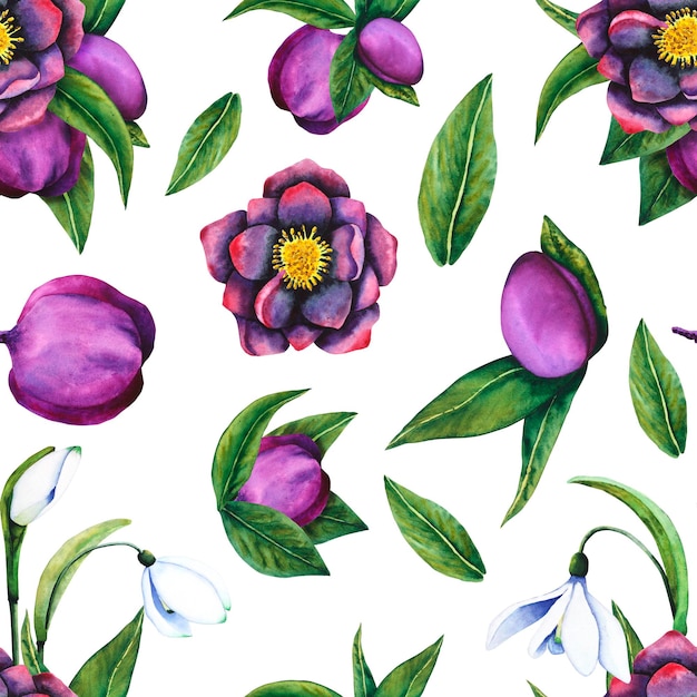 Hellebore schwarzes Schneeglöckchen, nahtloses Muster aus Aquarellelementen auf transparentem Hintergrund, handgezeichnet