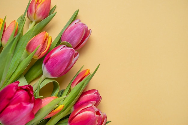 Heller frischer Blumenstrauß der rosa und gelben Tulpen auf einem gelben Hintergrund