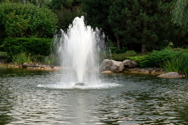 Heller Lichtbrunnen im See vor dem Hintergrund der Bäume