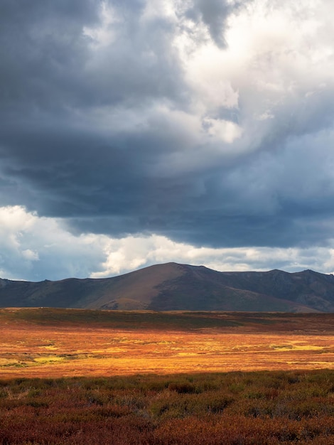 Heller natürlicher kontrastierender vertikaler Hintergrund. Schreckliche Gewitterwolken haben über dem Herbsttal gehangen. Der Himmel vor einem Gewitter mit Gewitterwolken.