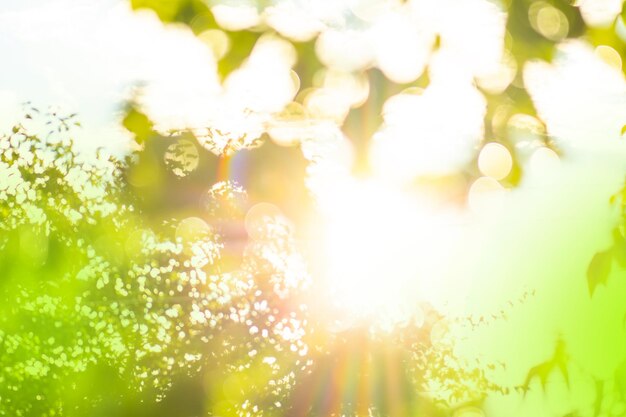 Heller Sommergarten mit defokussiertem Bokeh-Effekt und Sonnenlicht