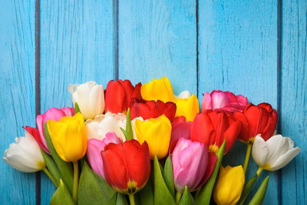 Heller Strauß mehrfarbiger Tulpen Nahaufnahme auf Holzbrettern der blauen Farbe.