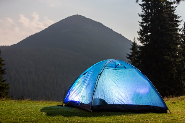 Helles blaues Zelt der touristischen Wanderer auf der grünen grasartigen Waldreinigung unter hohen Kiefern