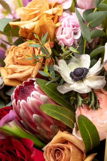 Helles kombiniertes Bouquet von Protea, Rosen, Anemonen-Coronaria, Eukalyptus. Nahansicht.