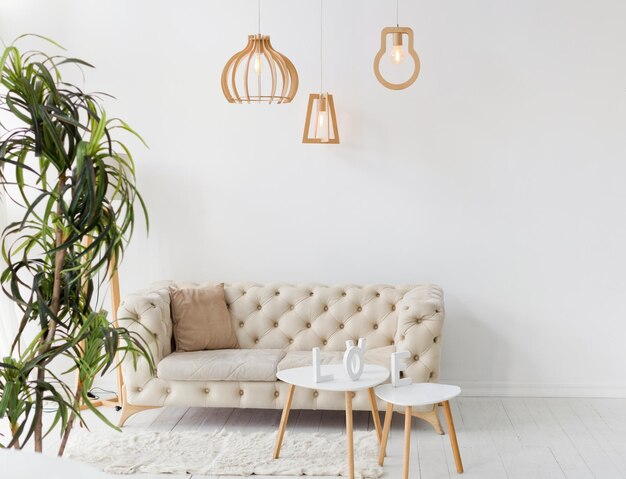 Helles, modernes Interieur mit Sofa drinnen