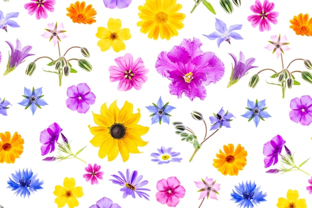 Helles Muster aus bunten Blumen auf weißem Hintergrund als Hintergrund oder Textur Frühlings-Sommer-Blumentapete für Ihr Design Draufsicht Flache Lage