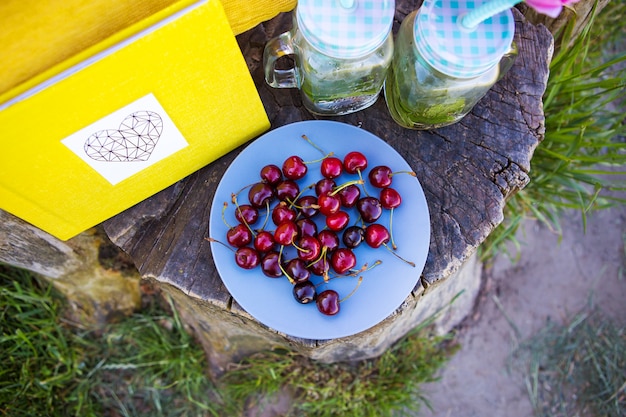 Helles Sommerpicknick