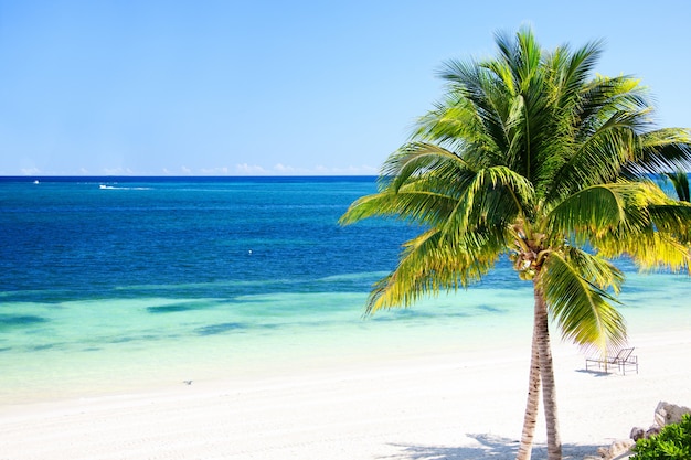 helles sonniges Bild des schönen tropischen Strandes