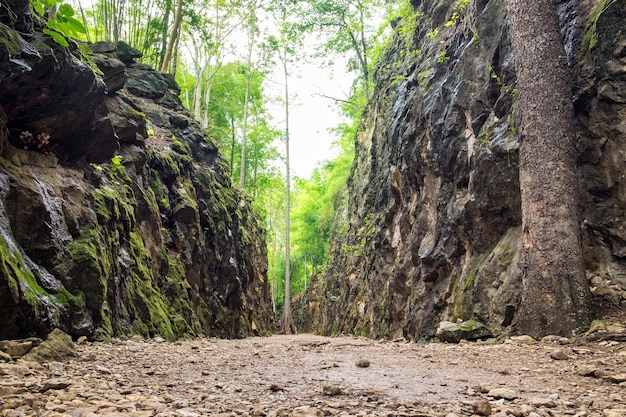 Hellfire Pass in der Talberggeschichte des Zweiten Weltkriegs