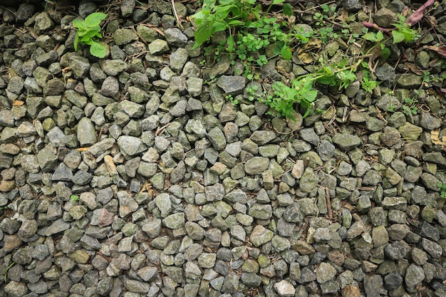 Hellgrauer Kiesboden (Pebble), Draufsicht.