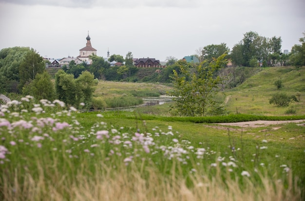 Hellgrüne Wiese bei Tageslicht auf dem Land mit Blumen und düsterem Himmel