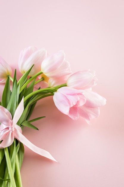 Hellrosa Tulpen auf rosa Hintergrund.