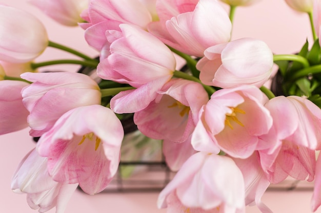 Hellrosa Tulpen auf rosa Hintergrund.