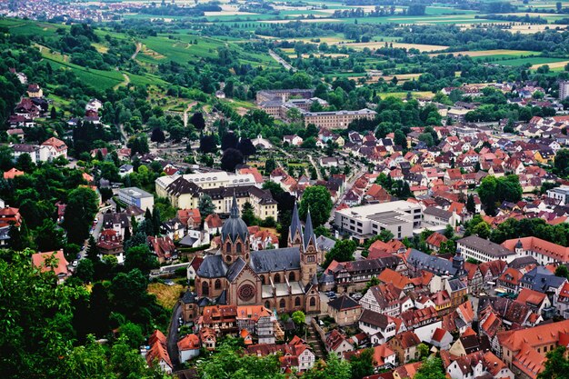 Heppenheimer Altstadt umgeben von Wäldern und von der Stadtburg aus gesehen